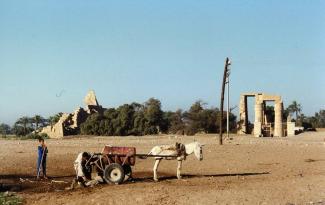 water collection by Ramesseum resthouse 1997